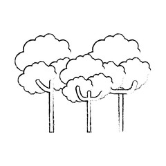 trees icon over white background vector illustration