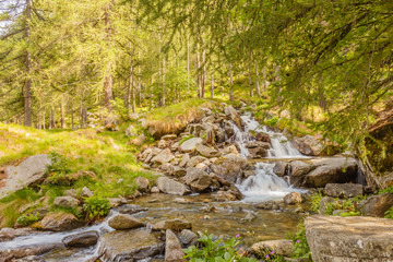 Fototapeta na wymiar a sparkling jump of a waterfall / a sparkling jump of a waterfall in the midst of mountain vegetation,in The national park of Great Paradise in Piedmont , Italy
