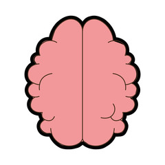 human brain icon over white background colorful design vector illustration