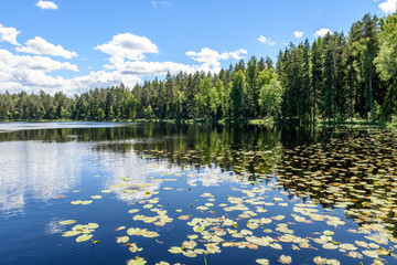 Fototapeta premium Reflections in the calm lake water with water lilies