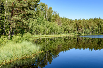 White clouds on the blue sky over forest lake
