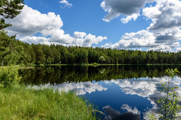 White clouds on the blue sky over forest lake
