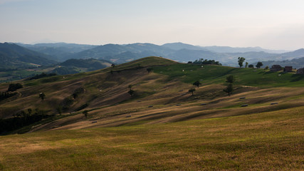 Colline reggiane in estate