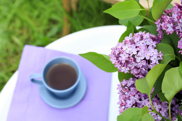 Beautiful lilac flowers on table outdoors