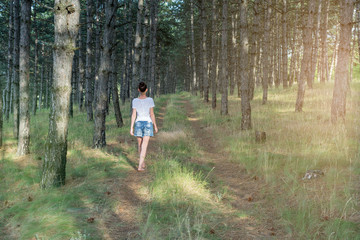 A woman walks through pine forest. Rear view.