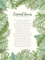 Hand drawn tropical palm leaves card - 162070762