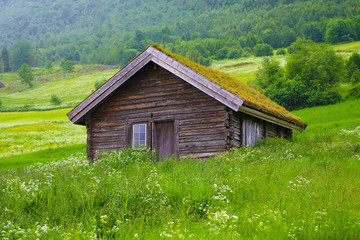 Fototapeta na wymiar Wooden house with grass roof