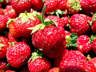 fresh ripe garden strawberries, Red garden strawberries,