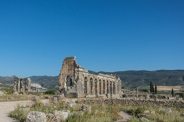 Fototapeta na wymiar View of the Basilica, in roman town Volubilis, Morocco
