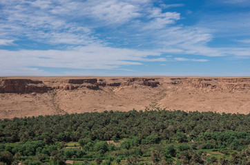 Huge palm grove in Ziz river valley, Morocco. Aerial view