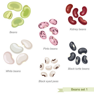 Beans and peas first icon set / Solid fill vector icons set with names
