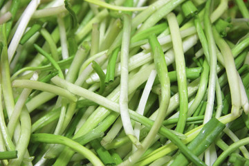 Fresh harvest of spring ramson or wild leek stems