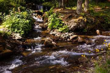 Beautiful landscape rapids on a mountains river in sunlight. Filtered image: colorful effect.
