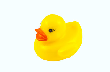 Yellow rubber duck or toy on White Background isolated white background.