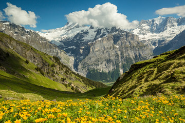 Fototapeta na wymiar Alpes bernoises