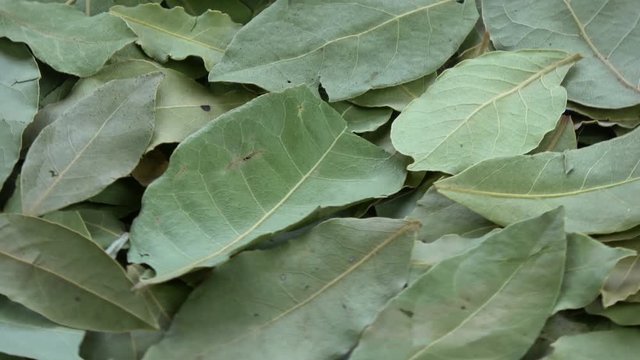 Rotating laurel leaves food background