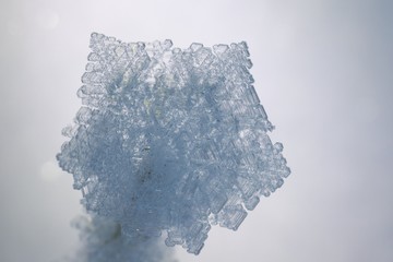 étoile de givre