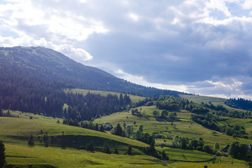Fototapeta na wymiar Beautiful sunny day is in mountain landscape. Carpathian, Ukraine.