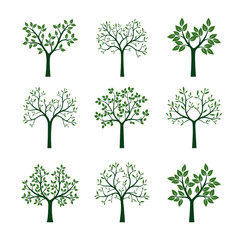 Set of Trees with Leaves. Vector Illustration.