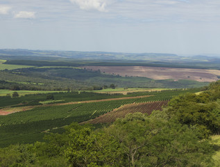 Coffee plantation farm in the mountains landscape