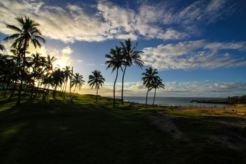Fototapeta na wymiar Anakena Beach Easter Island