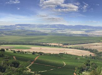 Coffee plantation farm in the mountains landscape