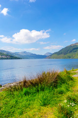 Obraz premium Loch Lomond at Rowardennan, Summer in Scotland, UK