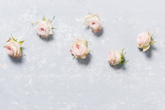 beautiful spray roses, pink flowers lying horizontal on a white variegated gray background, close-up, copyspace