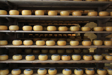 Dutch cheese store