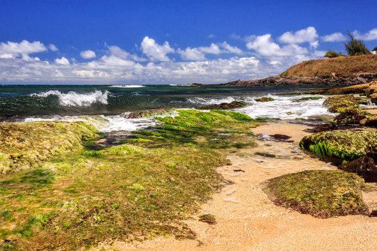 Ho'okipa Beach Maui