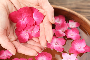 Female hands with hortensia flowers above bowl of aroma spa water, closeup