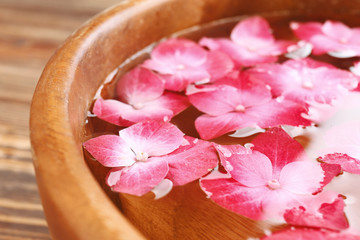 Bowl with water and hortensia flowers,close up