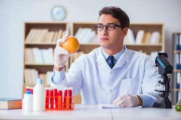 Scientist working on organic fruits and vegetables