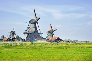 Naklejka premium Beautiful landscape with windmills and lawn