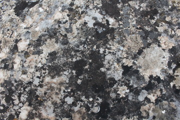 piedra