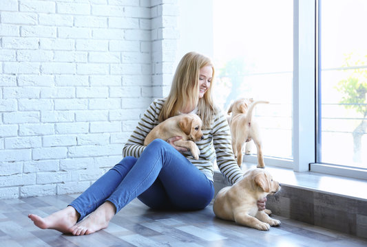 Young Woman With Cute Labrador Retriever Puppies At Home