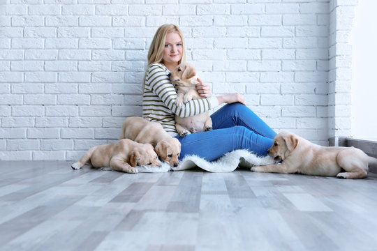 Young woman with cute labrador retriever puppies at home