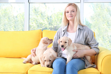 Young woman with cute labrador retriever puppies sitting on sofa at home