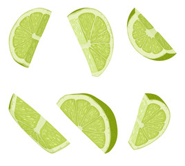 Lime slices illustration
