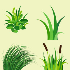 Obraz premium Green grass nature design elements vector illustration isolated grow agriculture nature background