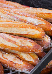 French Bread at Outdoor Market