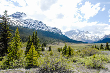 春のカナディアン・ロッキー　ジャスパー国立公園の山並み（カナダ）