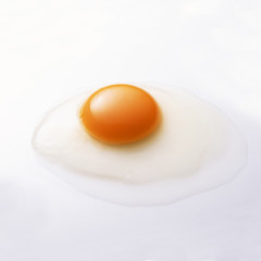 Raw egg isolated on white background.
