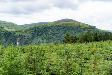 Naklejka premium Irish country side