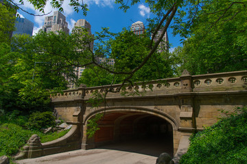 Naklejka premium Central Park. New York