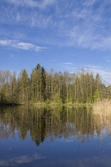 Fototapeta na wymiar Teich bei Moosham in Oberbayern