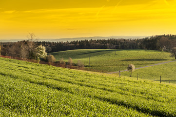 Swiss landscape early in the morning