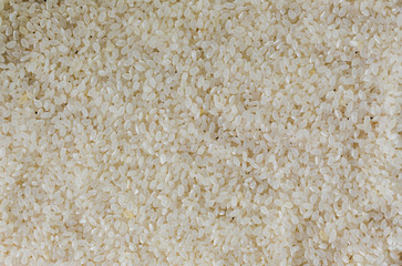 Stack of uncooked Japanese rice. Close up of Japanese rice concept for background and wallpaper. Macro concept for background and texture. Copy space of uncooked Japanese rice on table for background.