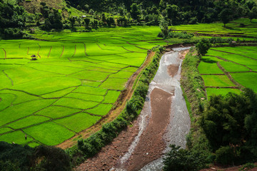 Rice Field, a beautiful natural beauty on mountain in Nan Khun Nan  Rice Terraces,Nan Province, Thailand