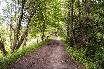 Disused Military Railroad